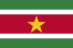 res/drawable-xxhdpi/flag_of_suriname.png